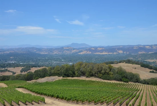 Hit the Road: Exciting Road Trips from Santa Rosa, CA