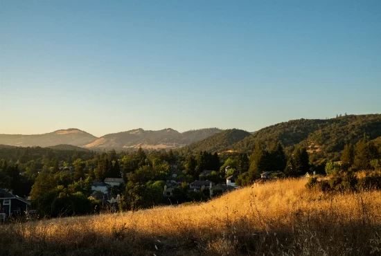 Santa Rosa, CA: An Introduction to the City and Its Enchanting Weather